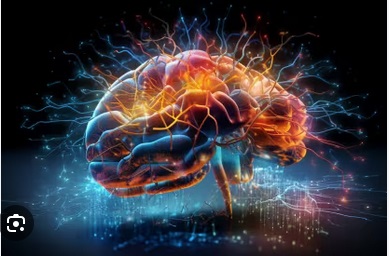 Course Image 470085 NEUROCIENCIA PARA LA EDUCACIÓN GRP-5