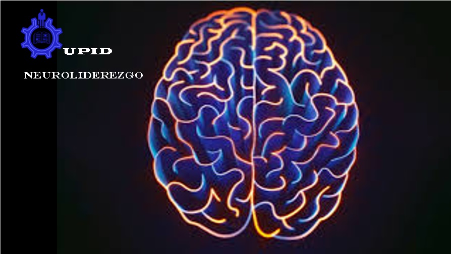 Course Image 01-25 DIPLOMADO DE NEUROLIDERAZGO